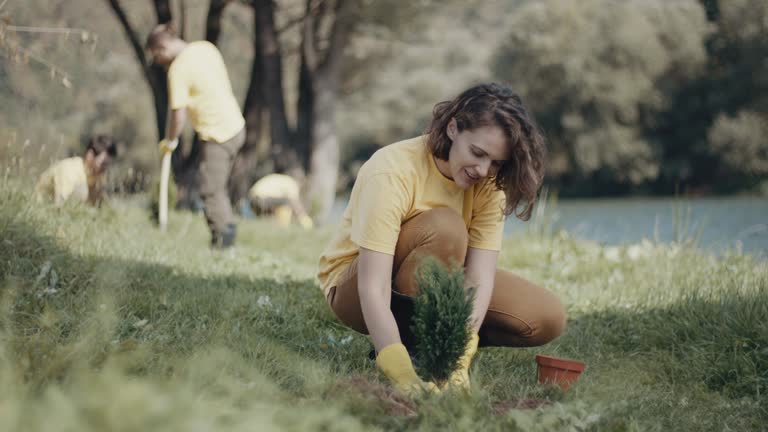 Best Lawn Drainage Solutions  in Escondido, CA